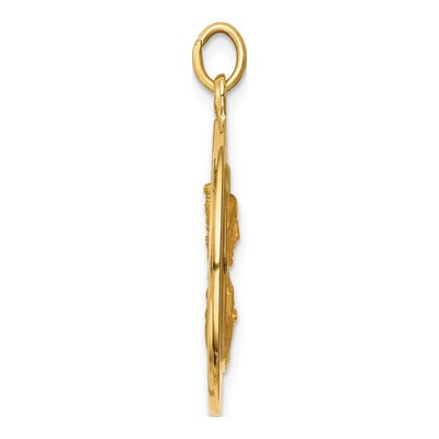 14K Yellow Gold Queen of Holy Scapular Medal Pendant – view 3