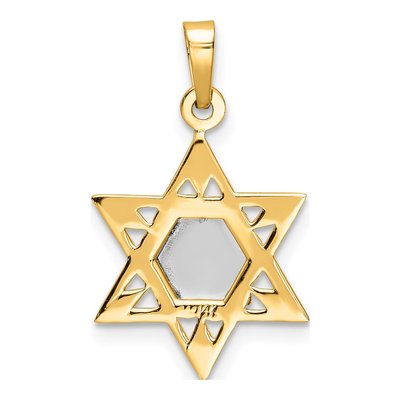 14K Two-Tone Gold Star of David Torah Pendant – view 5