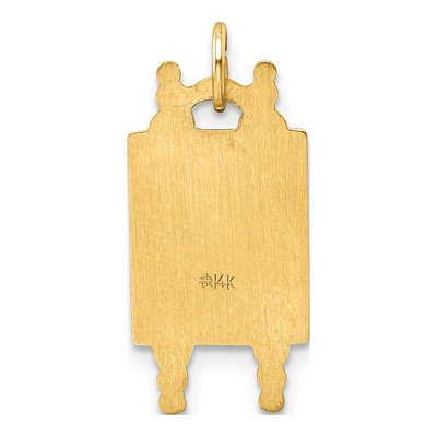 14K Yellow Gold Star of David Torah Pendant – view 5
