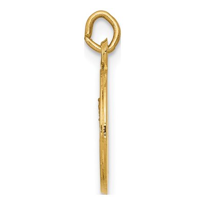 14K Yellow Gold Our of Mt Carmel Medal Charm – view 3