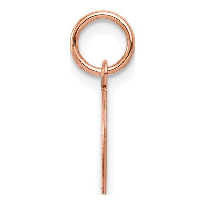 14K Rose Gold Round Disc Charm – view 3