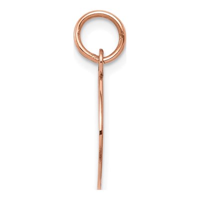 14K Rose Gold Round Disc Charm – view 3