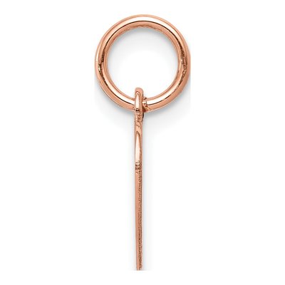 14K Rose Gold Heart Disc Charm – view 3
