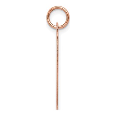 14K Rose Gold Heart Disc Charm – view 3