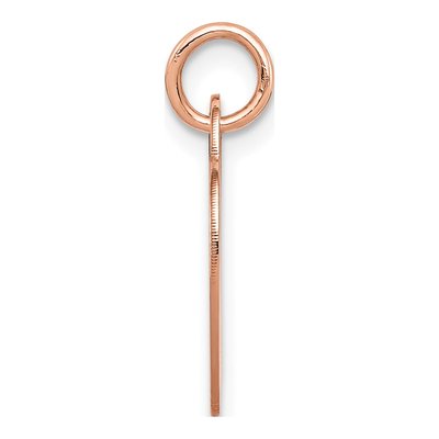 14K Rose Gold Heart Disc Charm – view 3