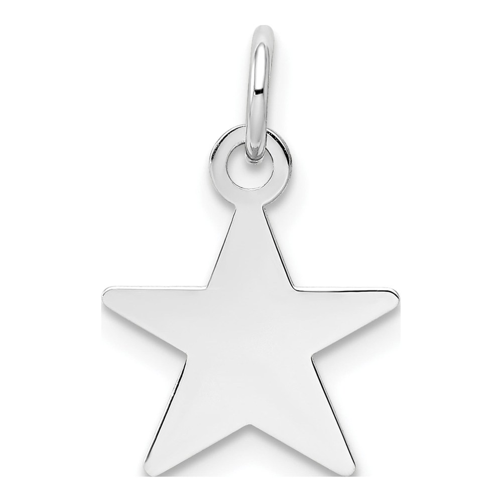 14K White Gold Star Disc Charm