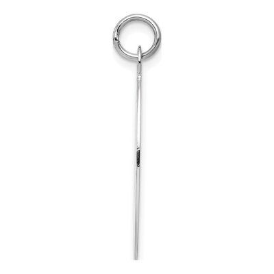 14K White Gold Elliptical Disc Charm – view 3