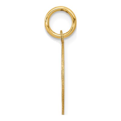 14K Yellow Gold EMT Disc Charm – view 3