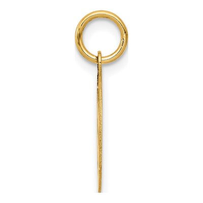 14K Yellow Gold Small Paramedic Pendant – view 3